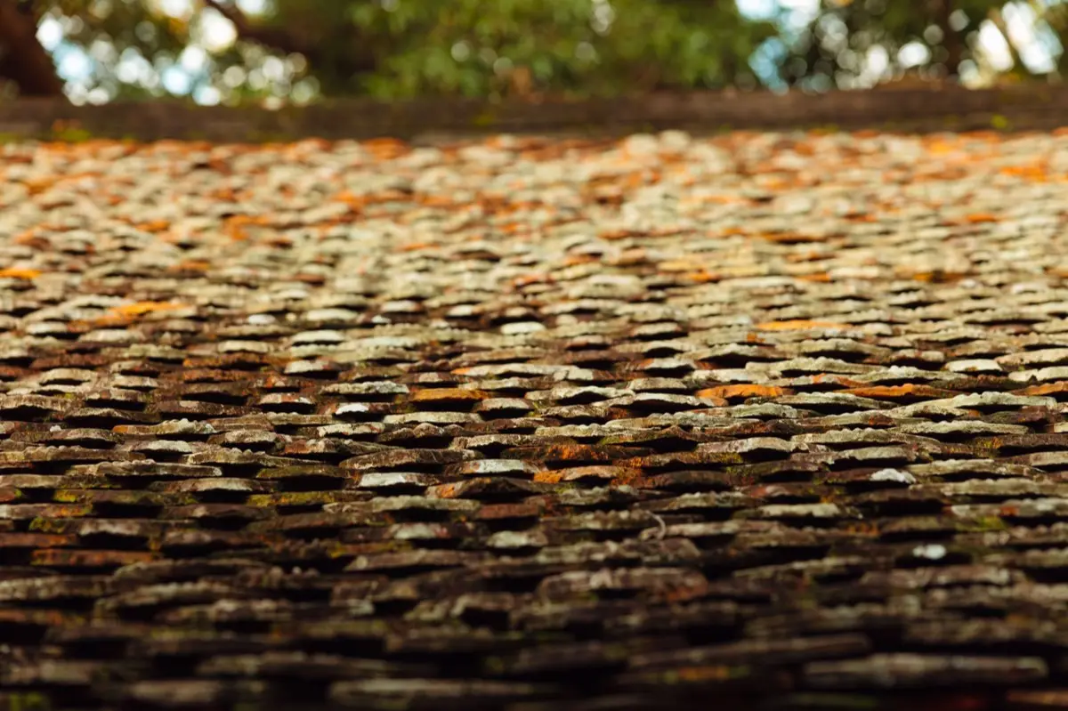 Aging shingle roof with moss growth and granule loss in Fontana, CA